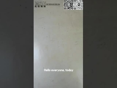 TZ910B1009-00 PC60-6 Graafmachine Reis RV As